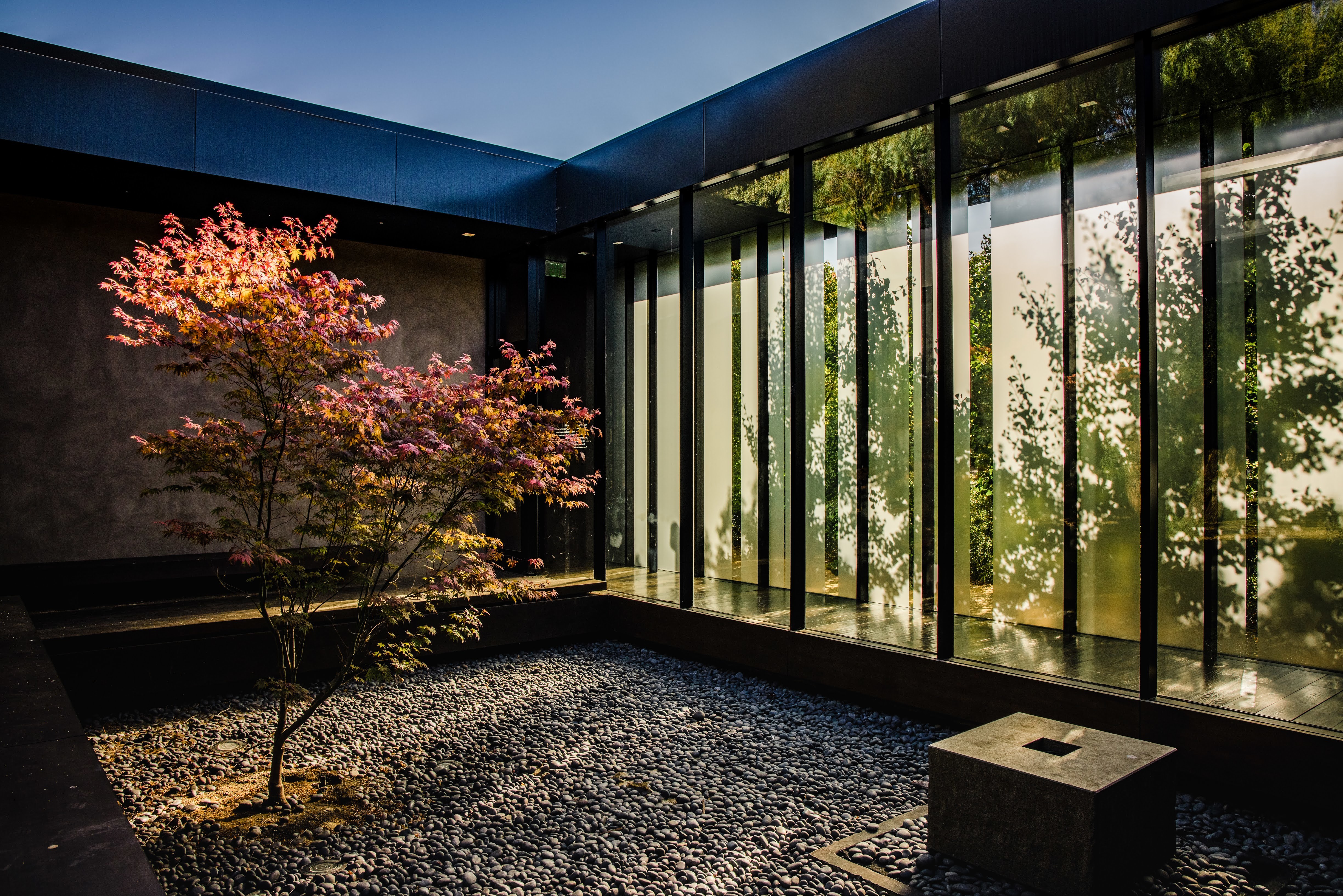 Jardín Vertical Innovador