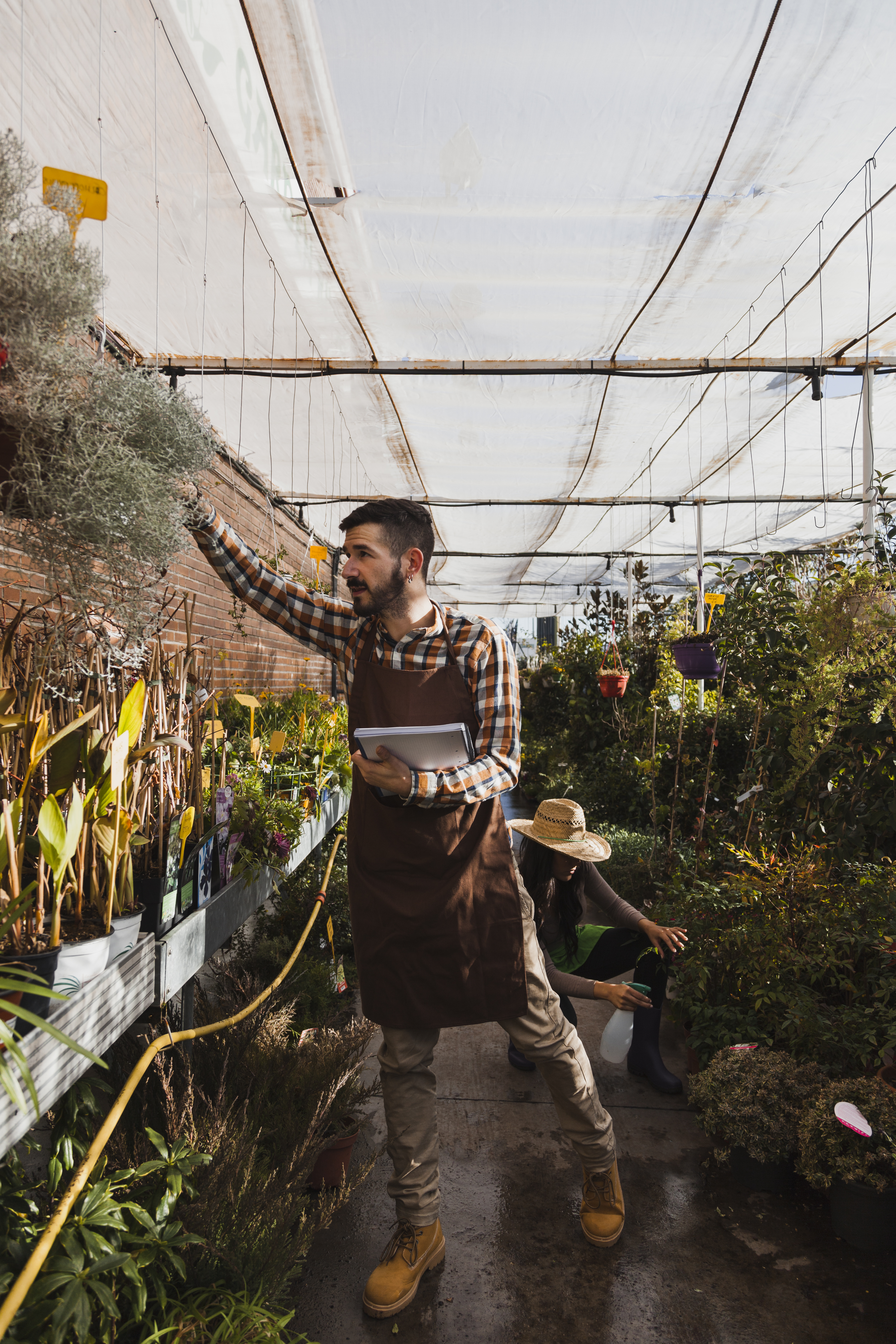 Vivero